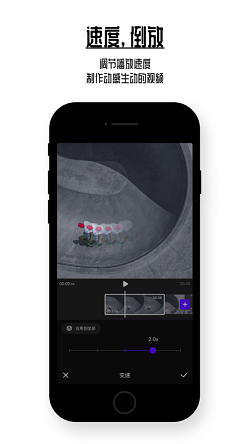 vday(pic1) vday(pic1)